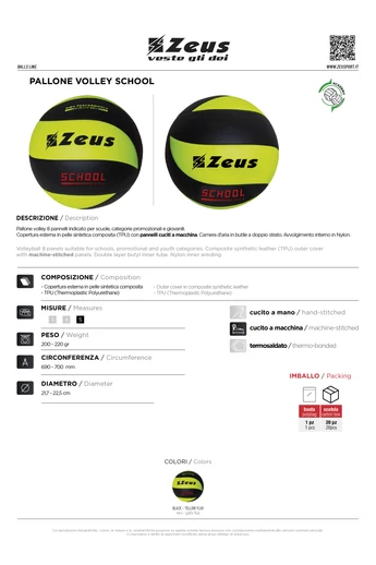 Pallone Volley School