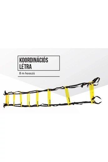 Sport36-Zeus Koordinációs létra